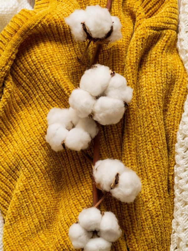 Organic Cotton fabric Clothing